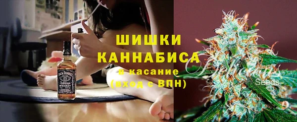 бошки Богданович