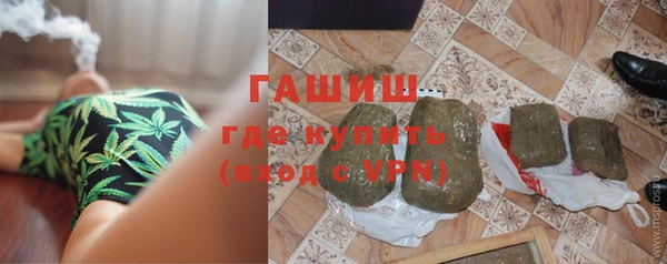 стаф Гусев