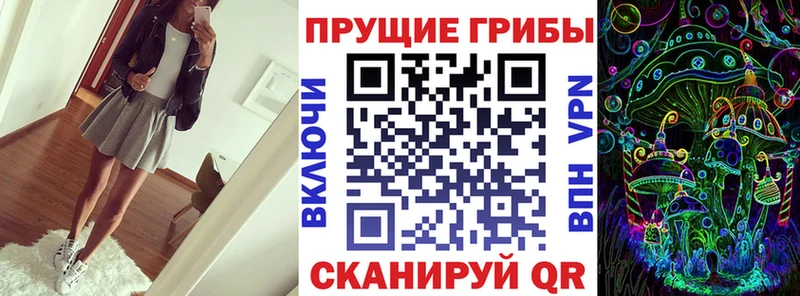 блэк спрут онион  Гороховец  Псилоцибиновые грибы Psilocybine cubensis 